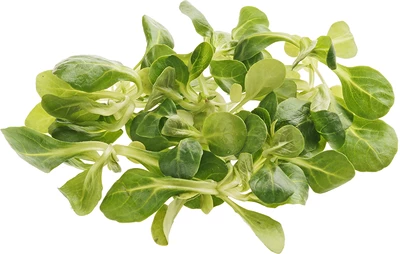 Салат Корн 125г-0}