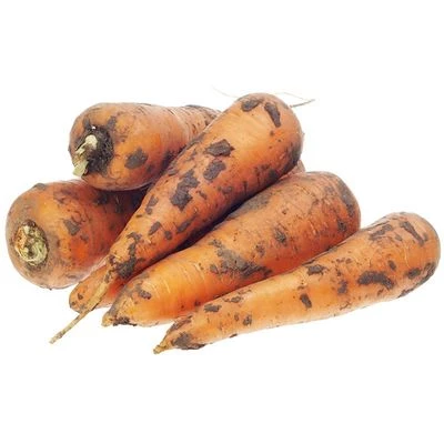 Морковь Россия ~500г-0}