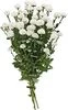thumb-Букет белых хризантем Сантини Пизарро 5шт-0}