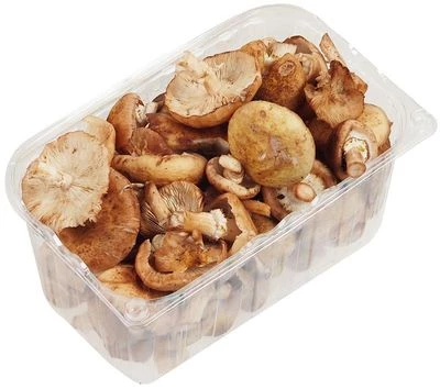 Опята свежие Россия ~300г-1}