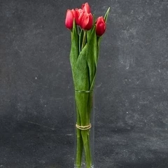 Букет красно-белых тюльпанов 5шт