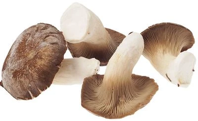 Грибы Еринги свежие Россия 200г-0}