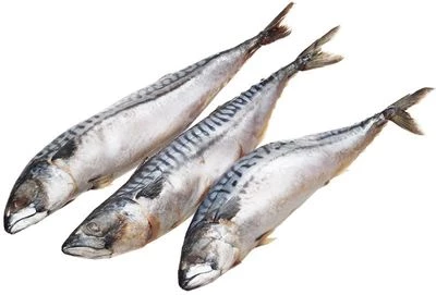 Скумбрия жирная замороженная ~1,2кг-0}