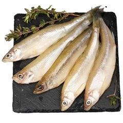 Корюшка малоротая мелкая ~1кг