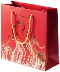 Подарочный пакет бумажный средний 25смх25смх10см