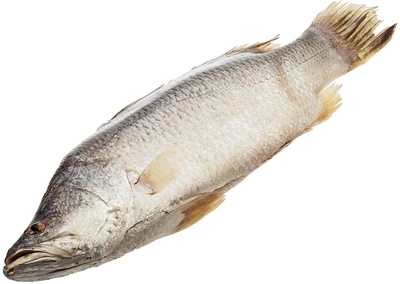 Барамунди тушка ~1.5кг-0}