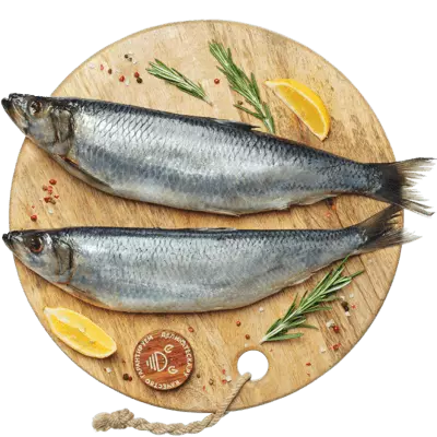 селедка жирная