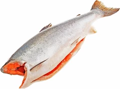 Кижуч чилийский потрошеный без головы ~3,5кг