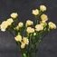 thumb-Букет желтых кустовых гвоздик 5шт-1}