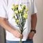 thumb-Букет желтых кустовых гвоздик 5шт-4}