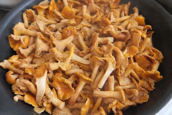 Грибы обжарить отдельно на разогретой с сливочным маслом сковороде до румяной корочки.