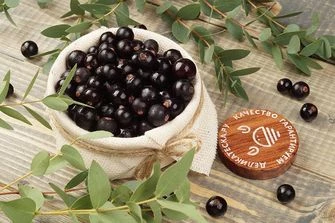 Успеть все — календарь созревания ягод 