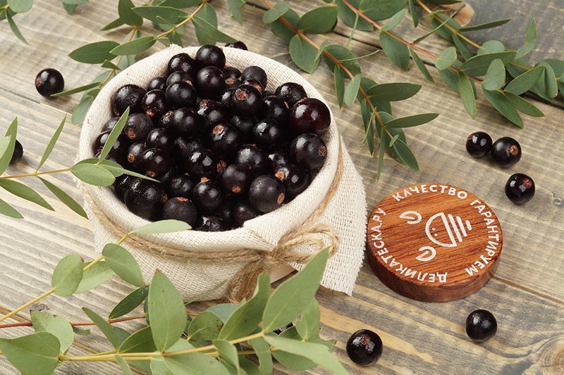 Успеть все — календарь созревания ягод 