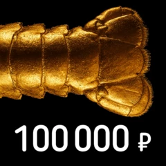 Сертификат на 100000 рублей Деликатеска