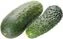 thumb-Огурцы фермерские ~1 кг -0}