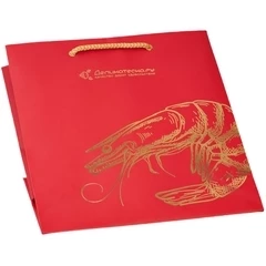 Подарочный пакет бумажный средний 25смх25смх10см