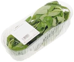 Базилик зеленый свежий Россия 50г