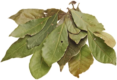 Лавровый лист свежий Краснодарский край 50г-1}