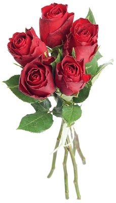 Букет красных роз Мадам Ред 5шт-0}