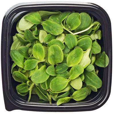 Микрозелень Бораго 40г-1}