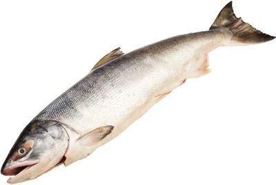  Кета дикая курильская потрошеная без жабр ~1.5кг -0}