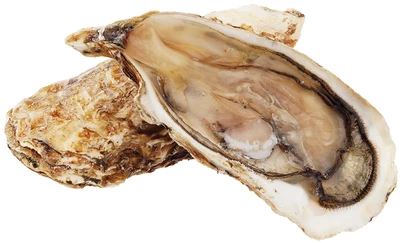 Устрица Тонг Янг 1шт-0}