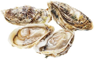 Устрицы Дибба Бэй №3 1шт-1}