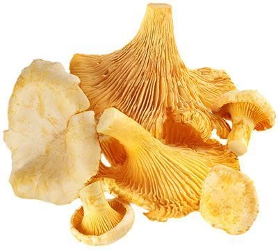 Лисички свежие 500г-1}