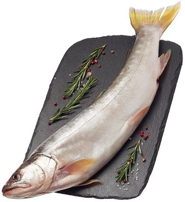 Кунджа дальневосточная ~850г-0}