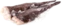 thumb-Морской чёрт, ~ 1кг-0}