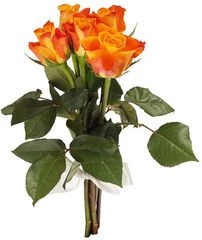 Букет роз Мари Клер ~40см 5шт