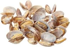 Моллюск венерка  500г