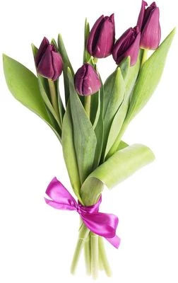 Букет фиолетовых тюльпанов 5шт-0}