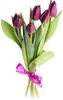 thumb-Букет фиолетовых тюльпанов 5шт-0}