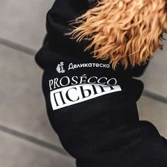 Толстовка для собак Lion L черная 1шт