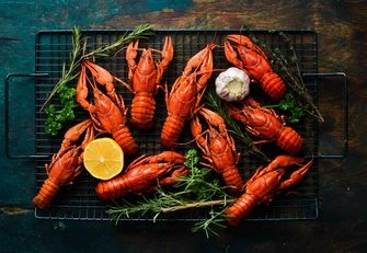 Чем полезны раки и как часто можно их есть?