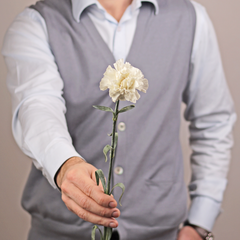 Гвоздика Мон Блан белая ~50см 1шт