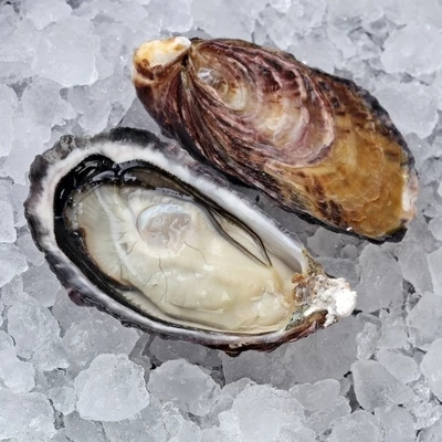 Устрица Оита Япония 1шт -0}