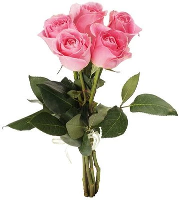 Букет роз Вэм 5шт-0}