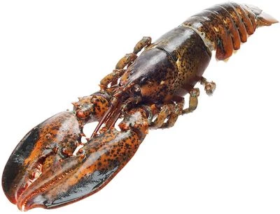 Лобстер ~700г-0}