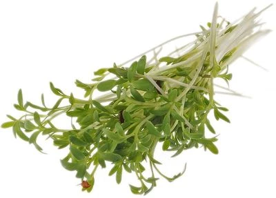 Микрозелень Кресс-салат Россия 40г-0}