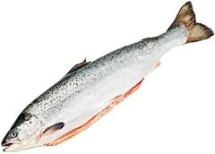 Семга мурманская охлажденная потрошеная ~2.5кг