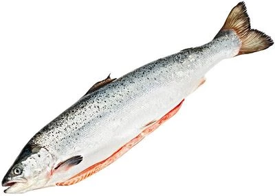 Семга мурманская охлажденная потрошеная ~2.5кг-0}