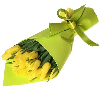Букет тюльпанов Идеальный Подарок 25шт-0}