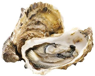 Устрица Средиземноморская 1шт-0}