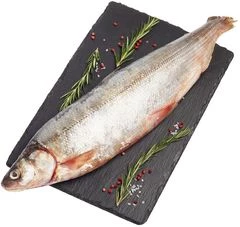 Омуль таймырский ~1,5кг