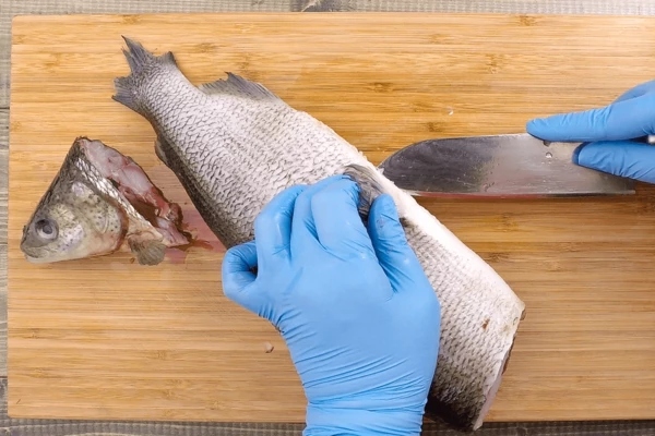 Рыбу разморозить естественным способом на нижней полке холодильника, очистить от чешуи. Сделать разрез вдоль брюшка, удалить внутренности, голову и хвост. 