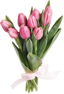 Букет тюльпанов розовых 9шт-0}