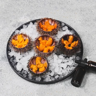 Сет 5 ежей 1шт без перепелиного&nbsp;яйца-0}