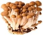 Грибы Шимеджи коричневые 150г